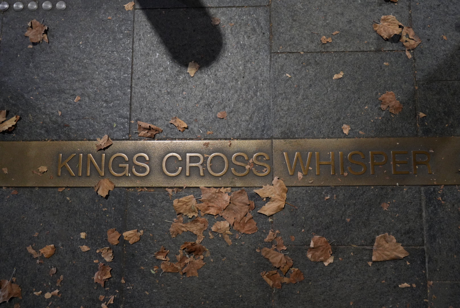 Scenic city view with calm evening light